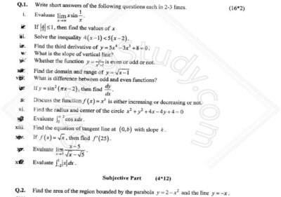 Calculus Past Paper BS 1st all terms 2017 UOS