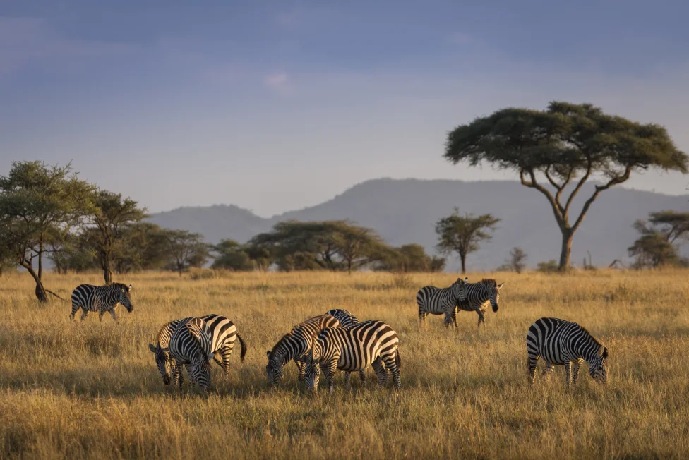 Tanzania
